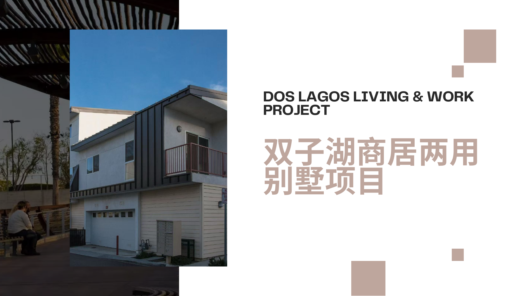 Dos Lagos 项目封面参考